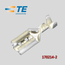 TE/AMP-Stecker 171630-2