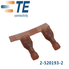 Conector TE/AMP 2-520193-2
